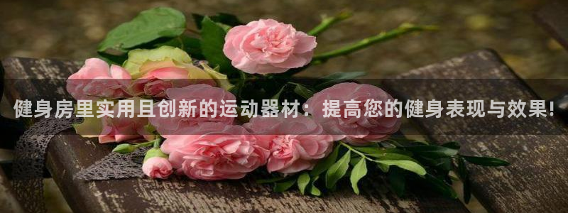 凯捷体育代理：健身房里实用且创新的运动器材：提高您的