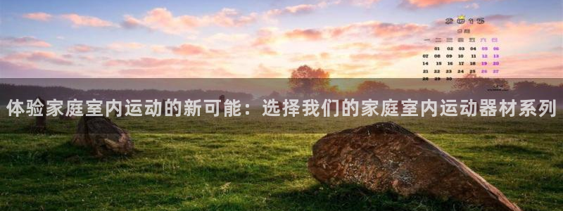 德国凯捷体育集团：体验家庭室内运动的新可能：选择我们