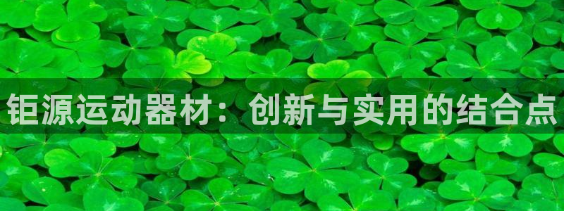 凯捷体育集团E.ON：钜源运动器材：创新与实用的结合