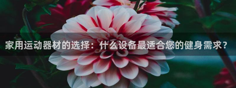 凯捷体育招商电话：家用运动器材的选择：什么设备最适合