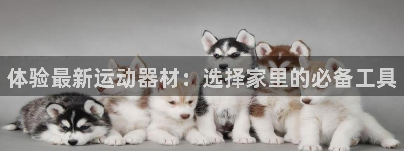 凯捷体育招商电话号码查询：体验最新运动器材：选择家里