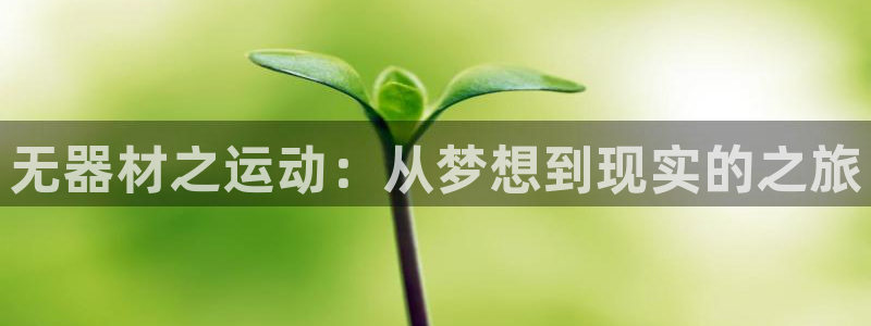 注册凯捷体育：无器材之运动：从梦想到现实的之旅