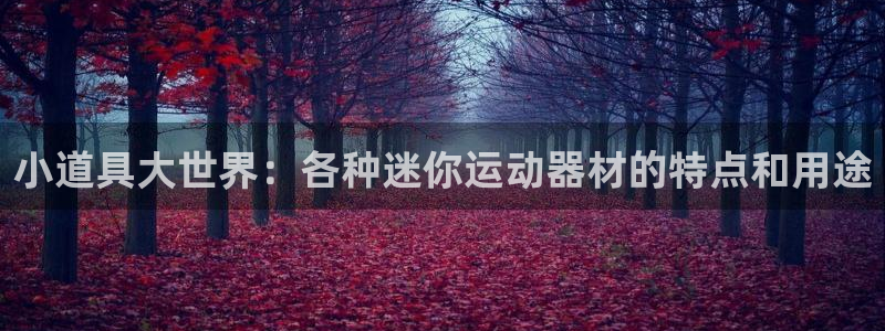 凯捷体育是干嘛的公司