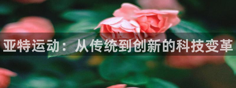 凯捷体育娱乐下载