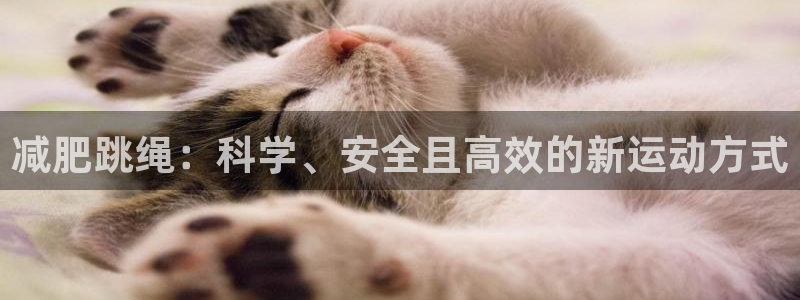 凯捷体育集团logo